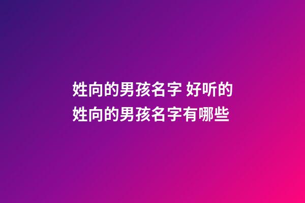 姓向的男孩名字 好听的姓向的男孩名字有哪些